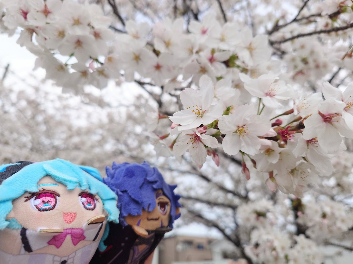 りんたろう tweet media