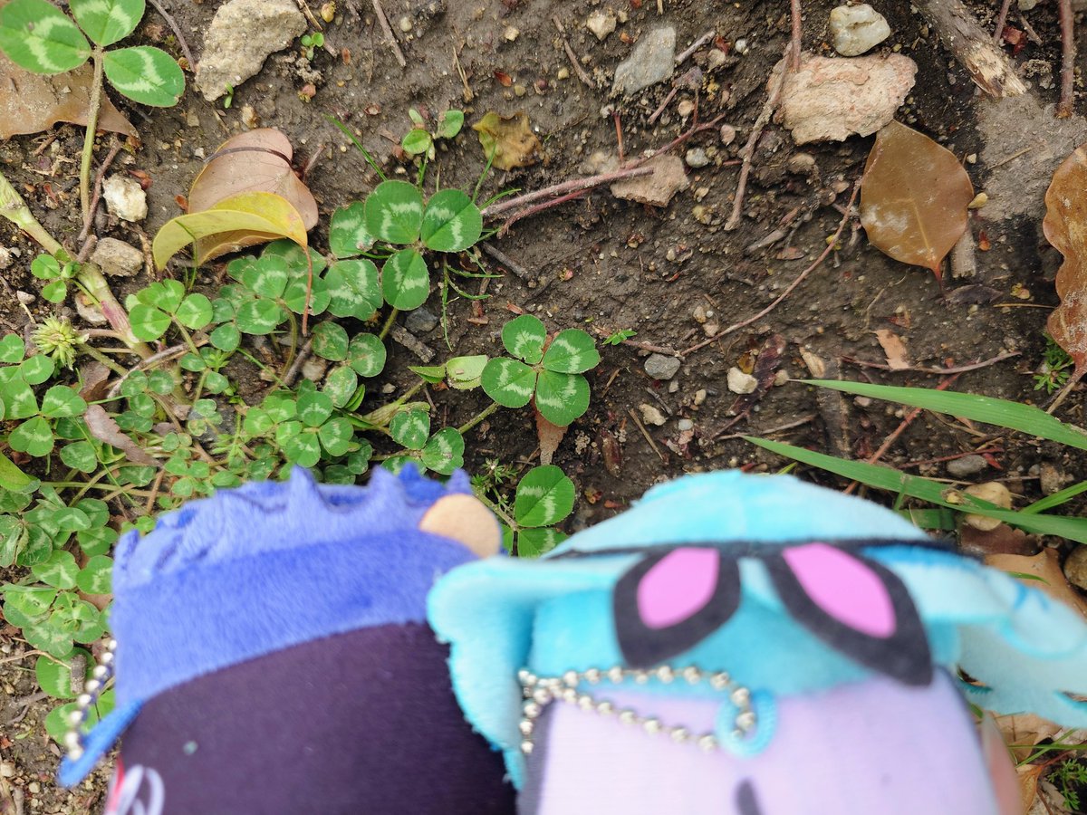 りんたろう tweet media