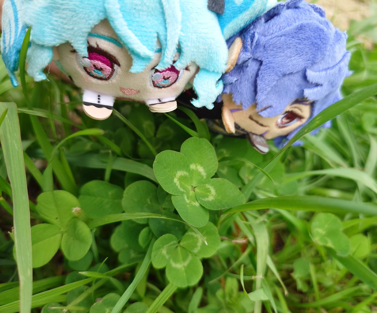 りんたろう tweet media