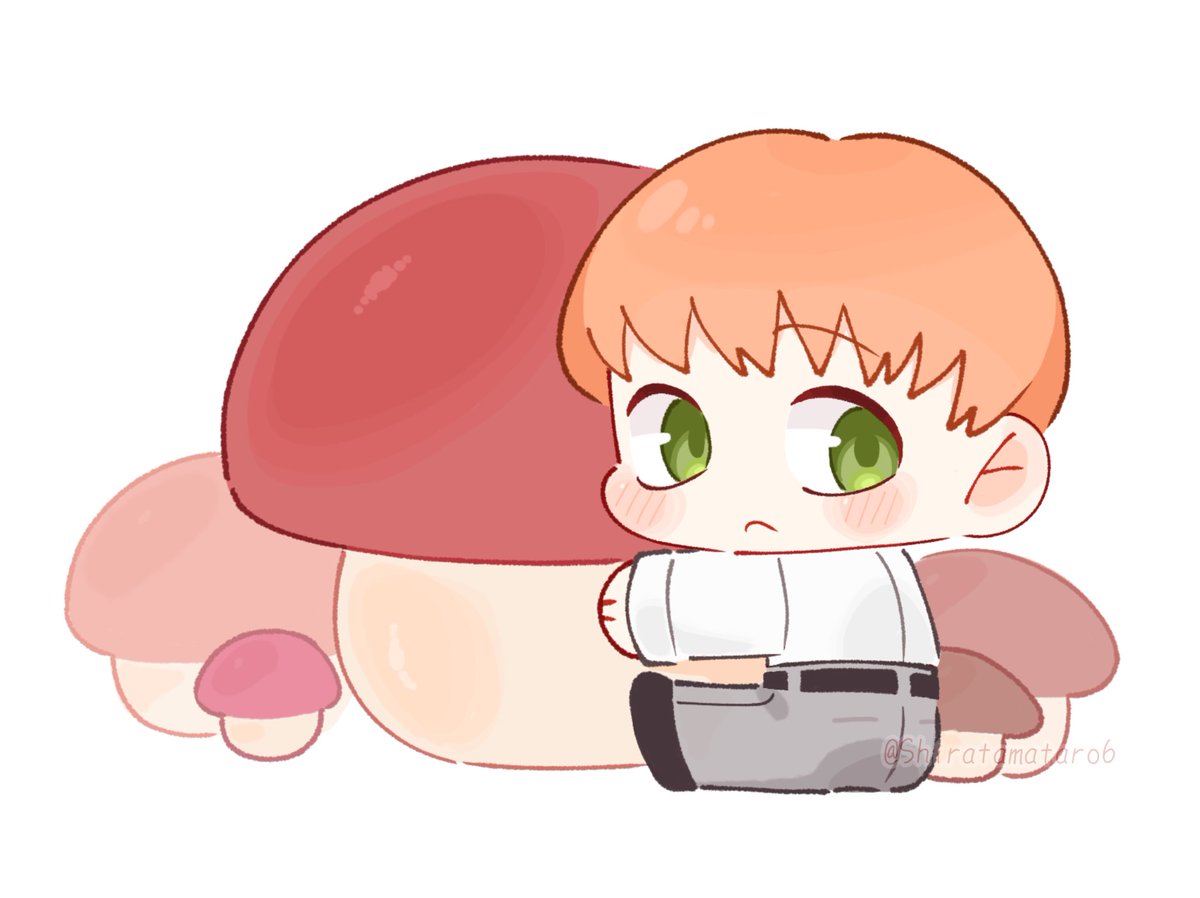 しらたま太郎 tweet media