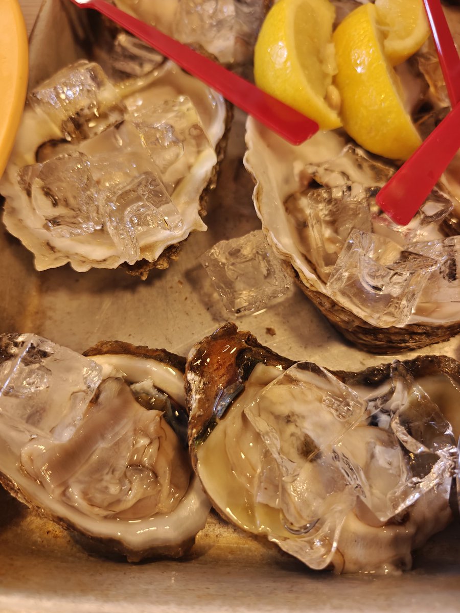 KMS-PrinzEugin tweet media