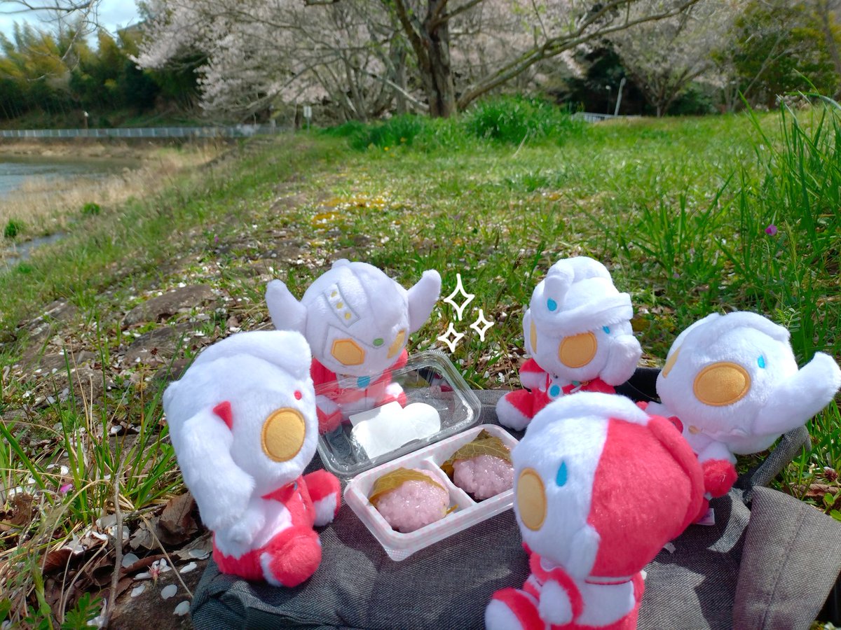 くじら 。@4月まで低浮上 tweet media