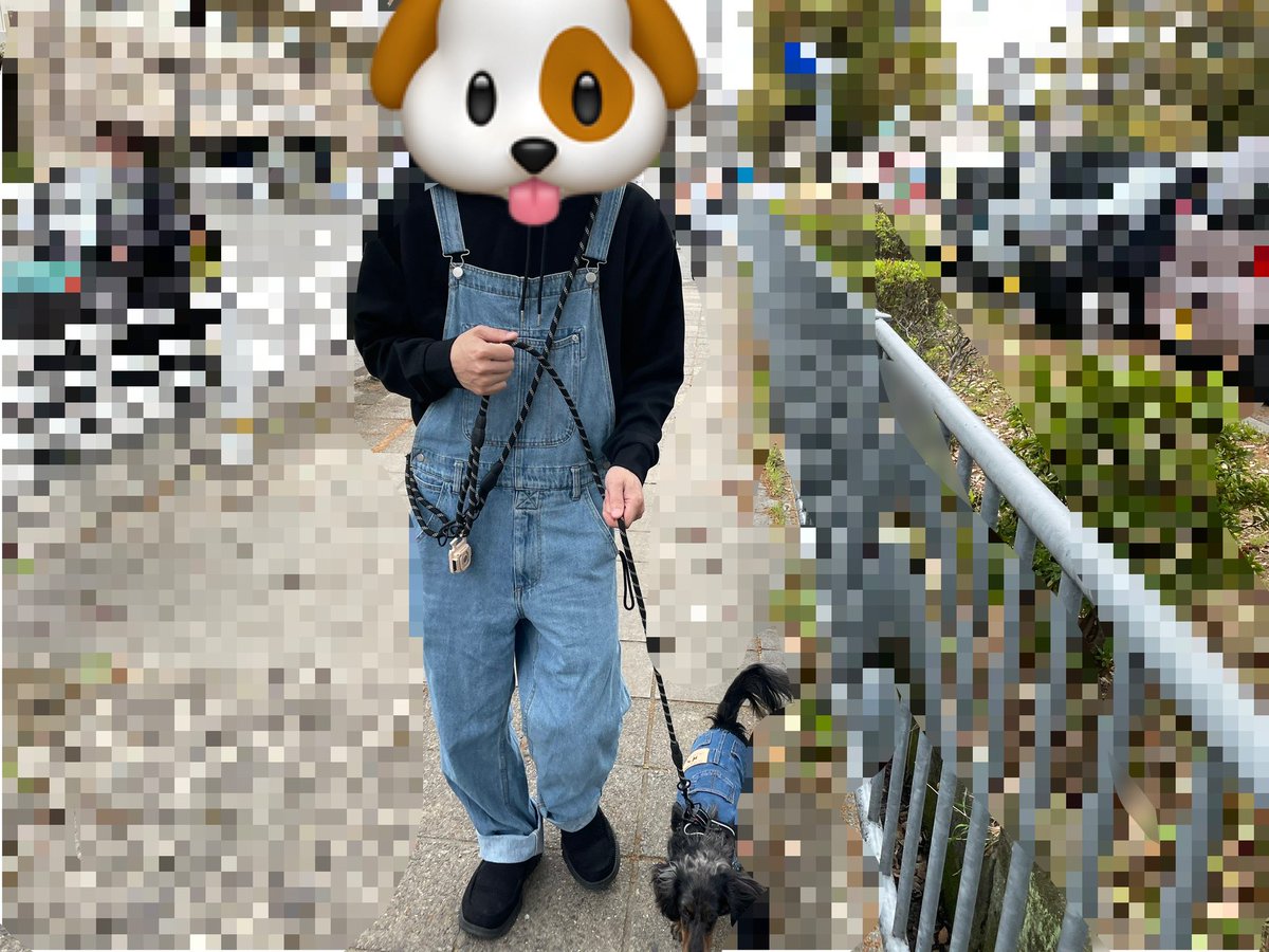 つじりか🌕 tweet media