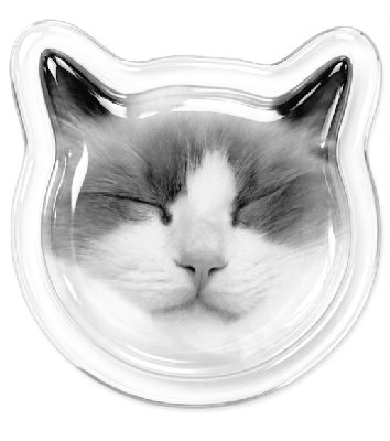 聖戦士猫🅰️ tweet media