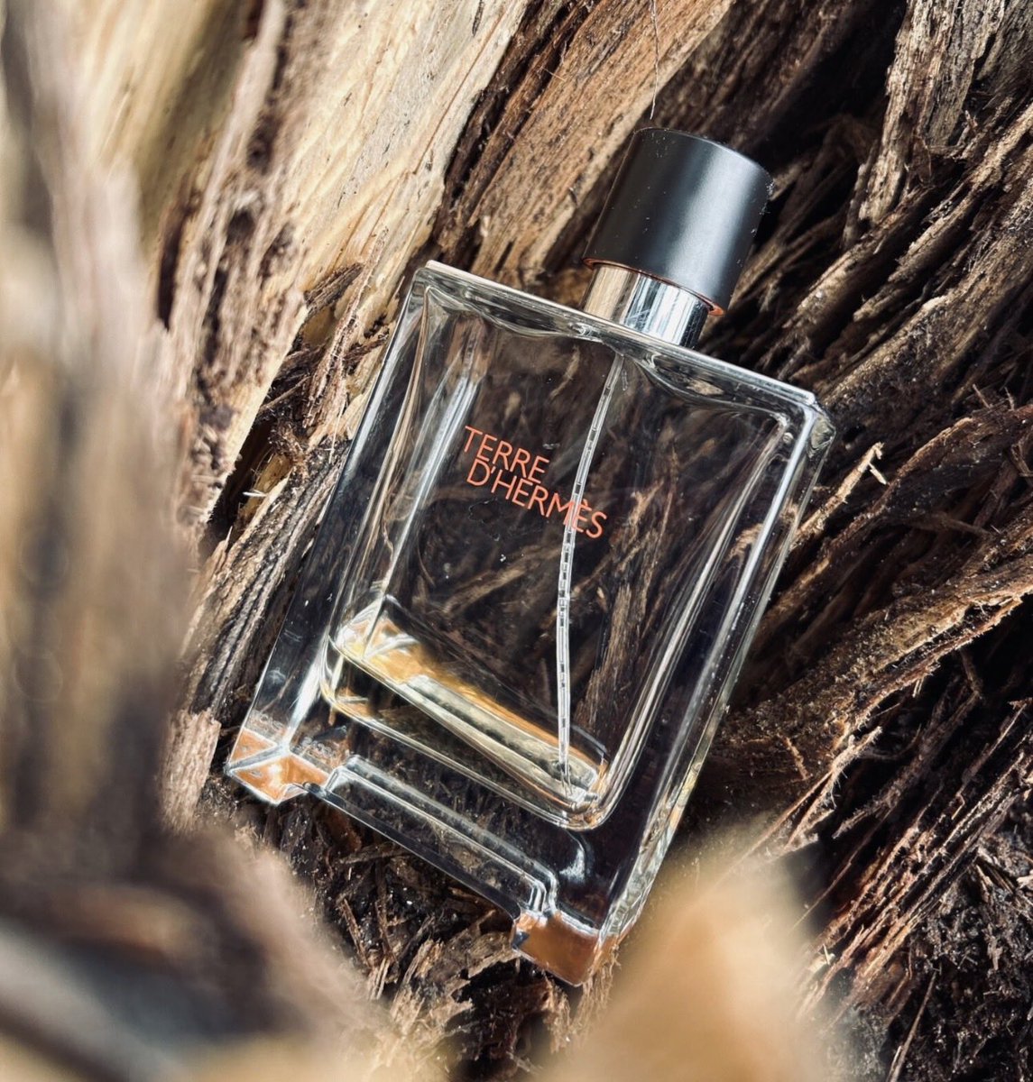 العز tweet media