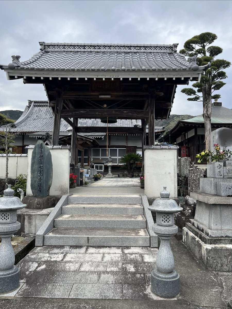 macoco🌞🌏 tweet media