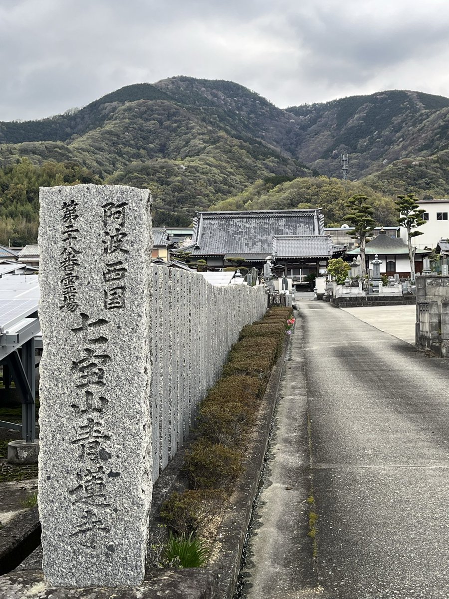 macoco🌞🌏 tweet media