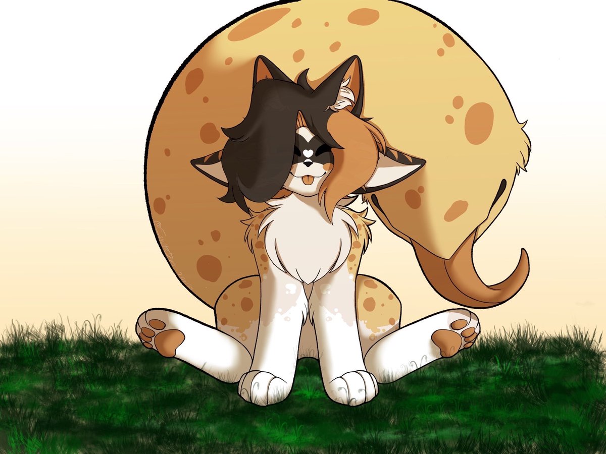 Tailsa Prower tweet media