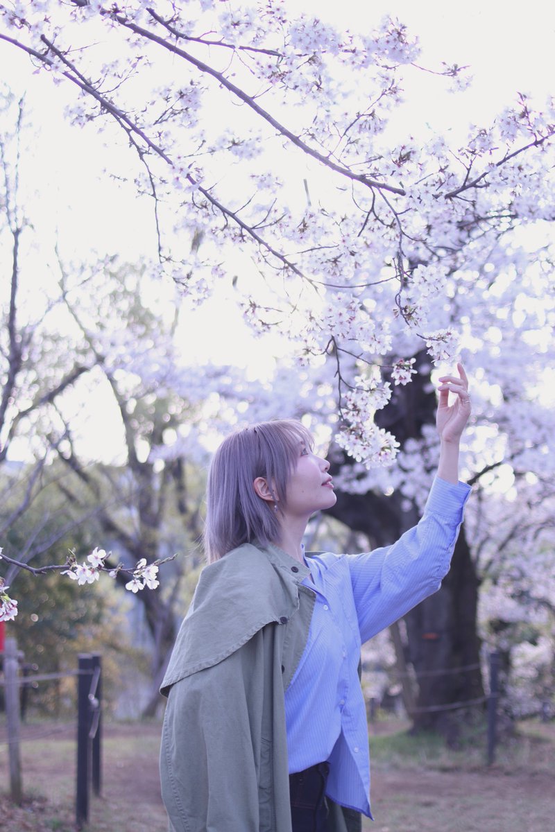 Lier/りえる tweet media