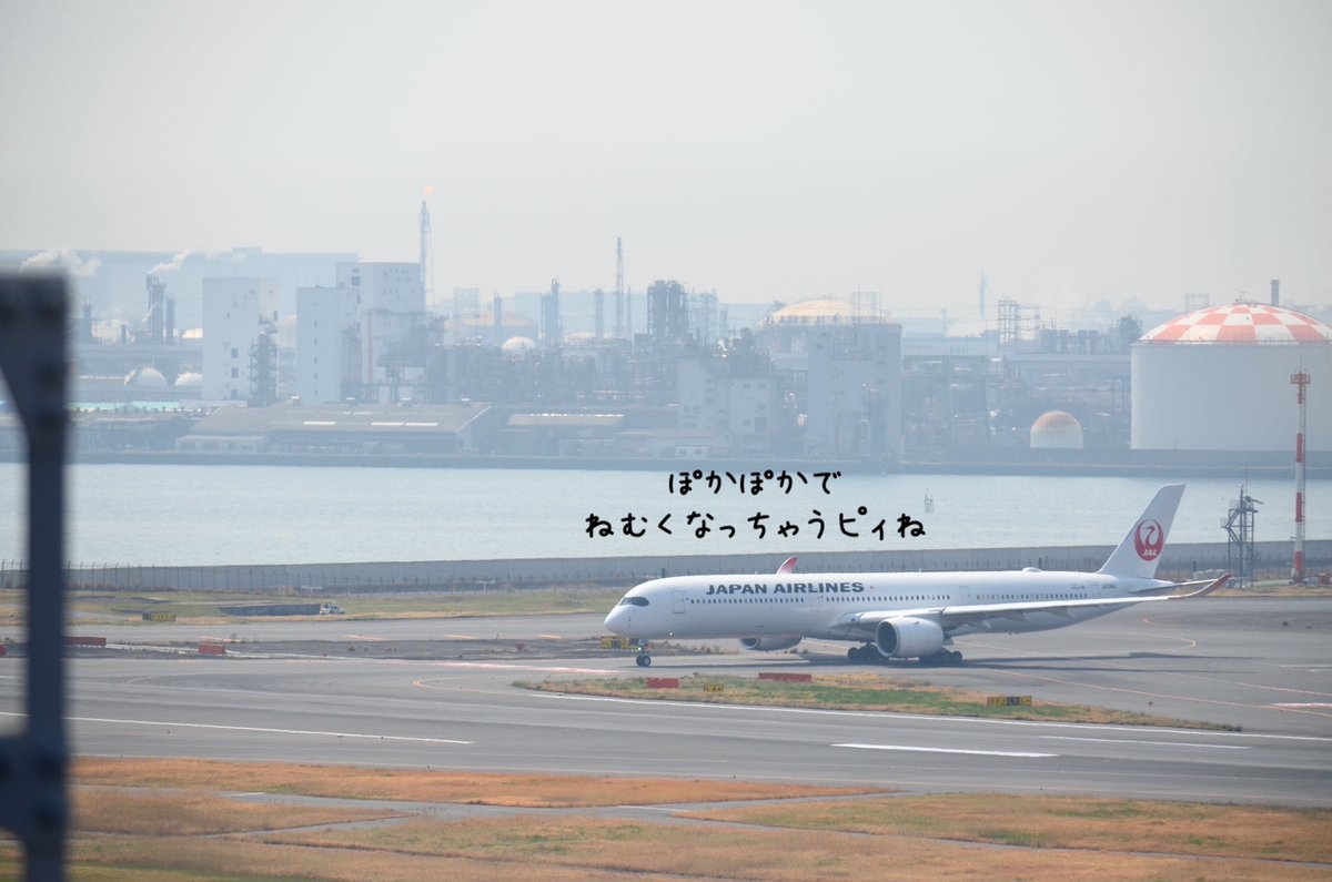 もも JALサ部員*⋆✈ tweet media