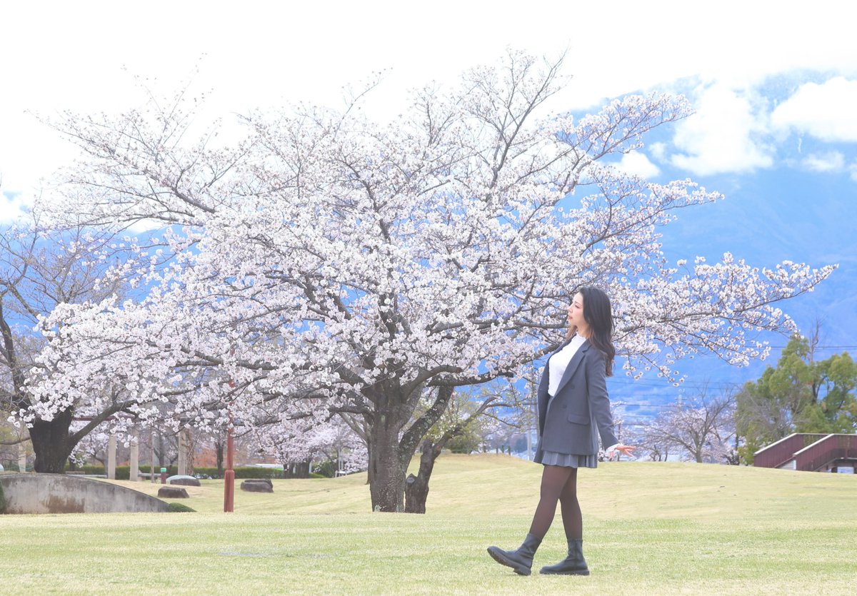 まき(`･ω･´)＠鳩ぽっぽ tweet media