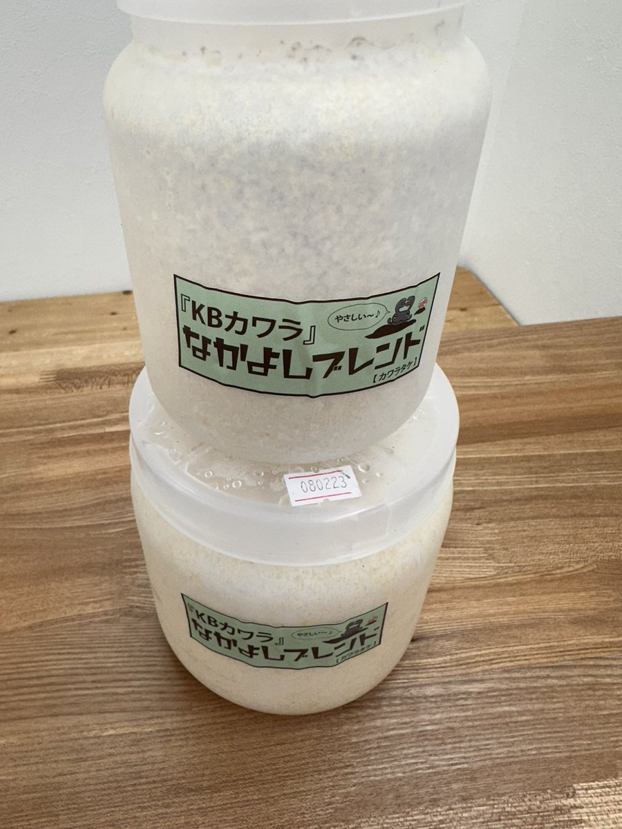 なかよしめだか「くわかぶ部」 tweet media