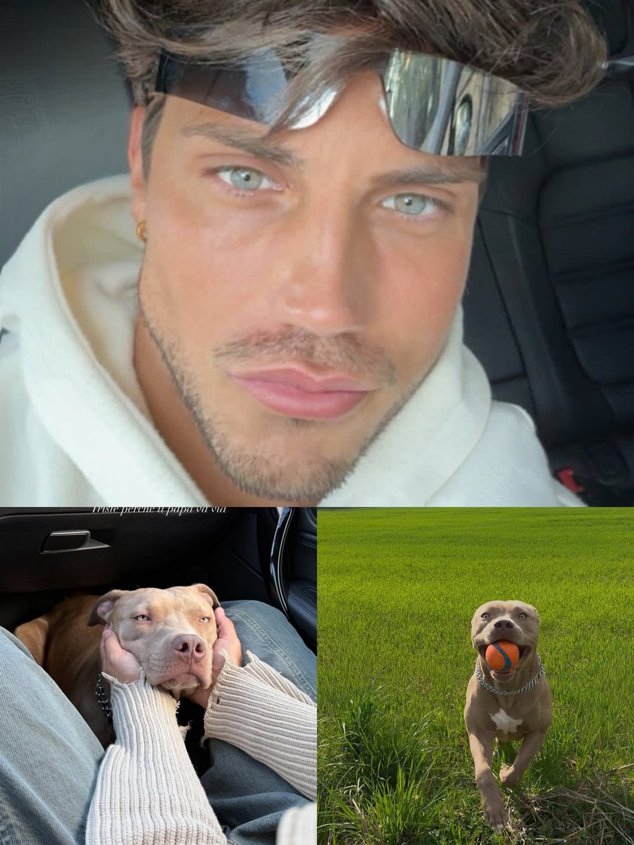 ACQUARIO 76 tweet media