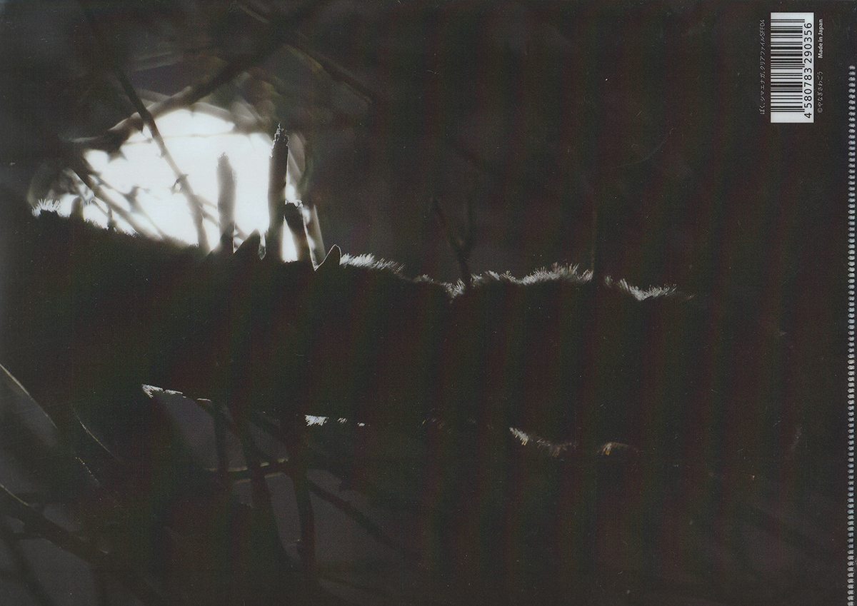 ぼく、シマエナガ。 tweet media