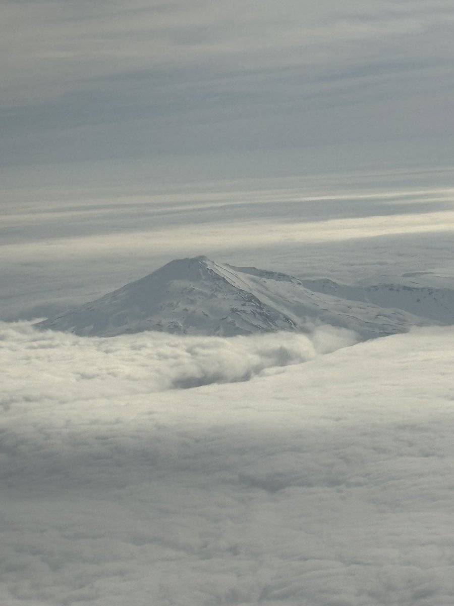 じゅんぺ　ㄔㄨㄣˊㄆㄧㄥˊ tweet media