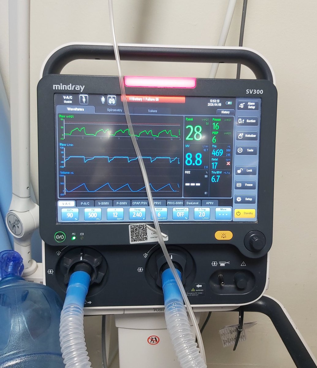 موسو 🇵🇸🔻📷🐱 tweet media