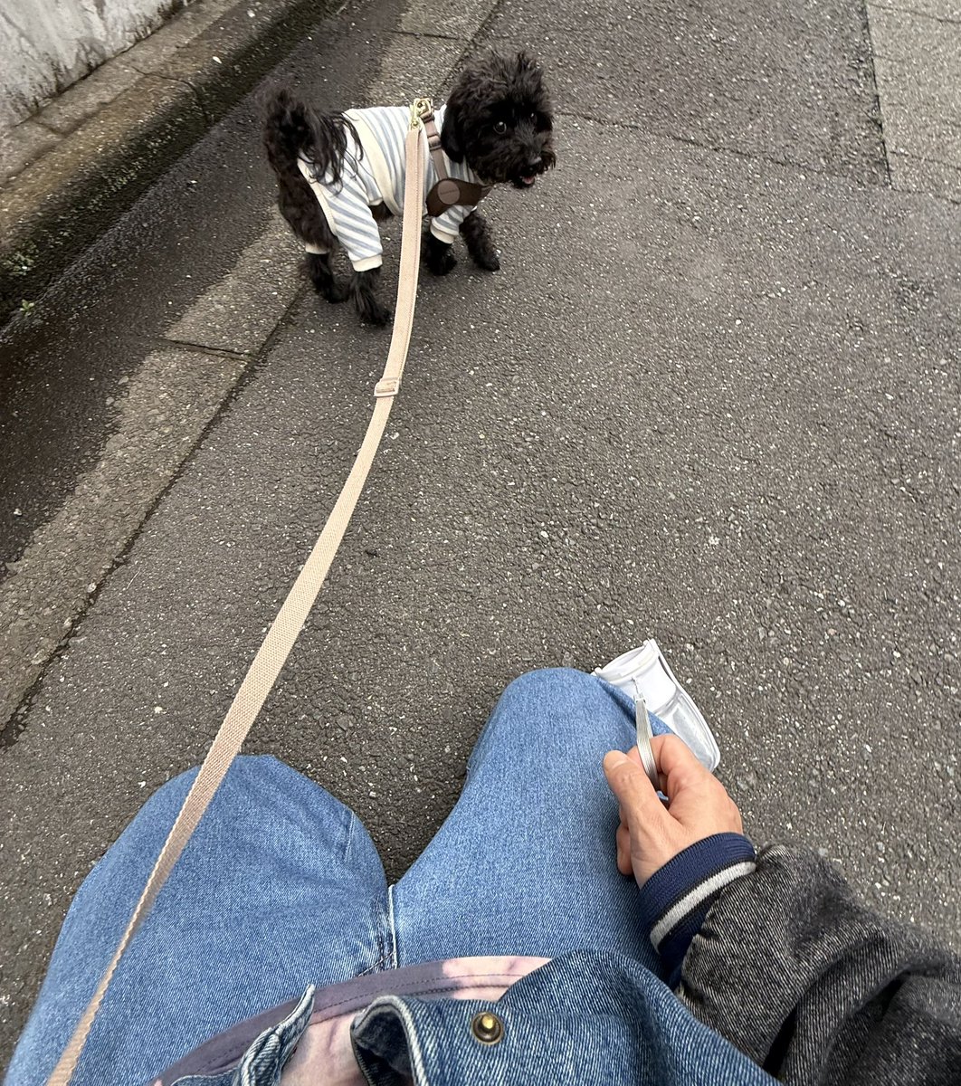 植田健一 / UNDER EDGE / ブルーペンギン / HIRUGI / tweet media