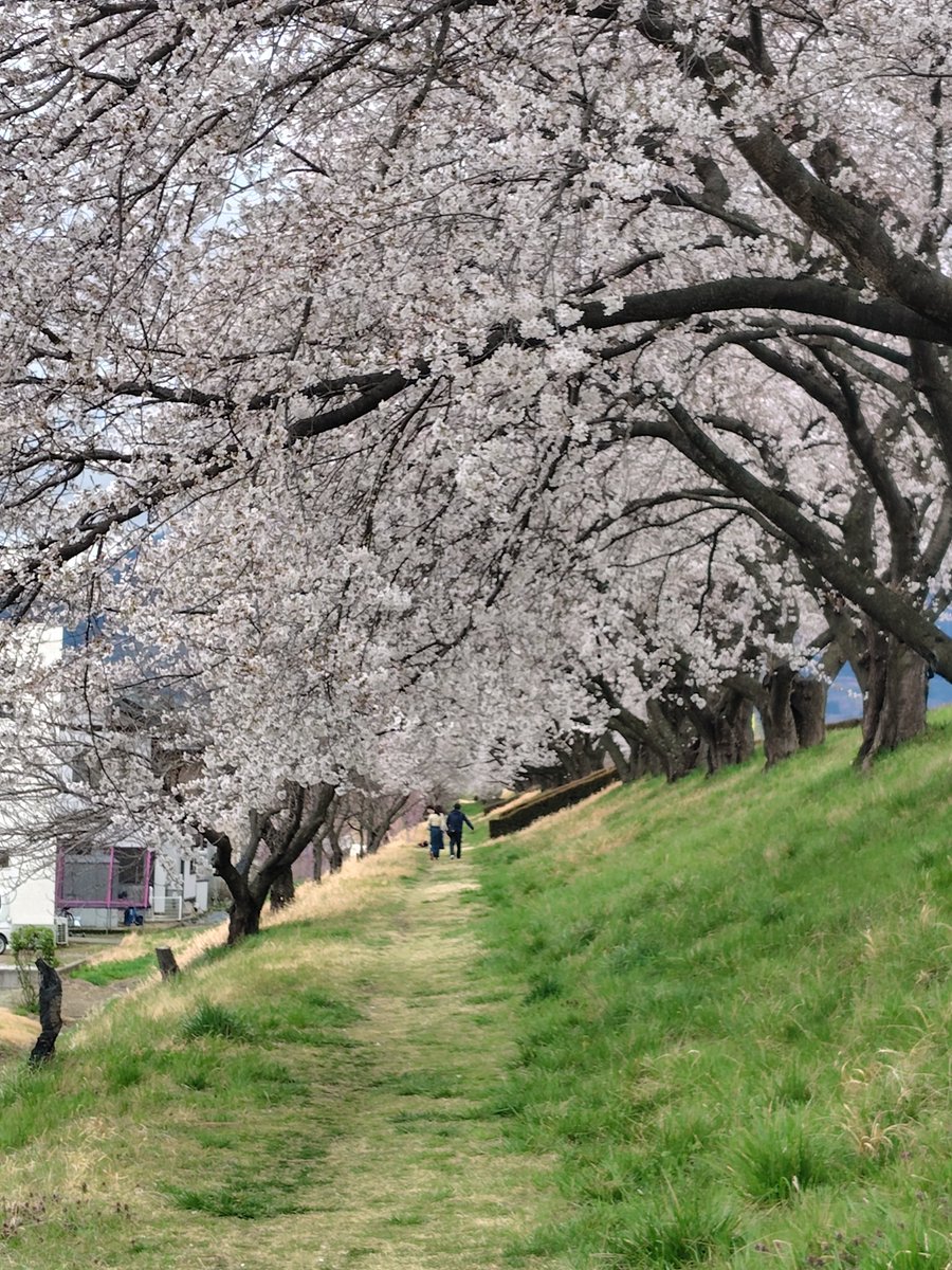 とみたまさひろ🍣🍺 tweet media