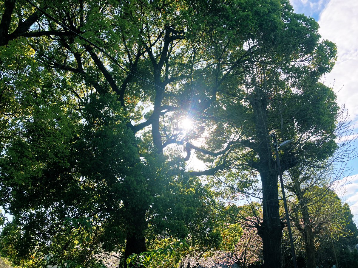 がん/岩井 純一@ソーシャルフリーランス tweet media