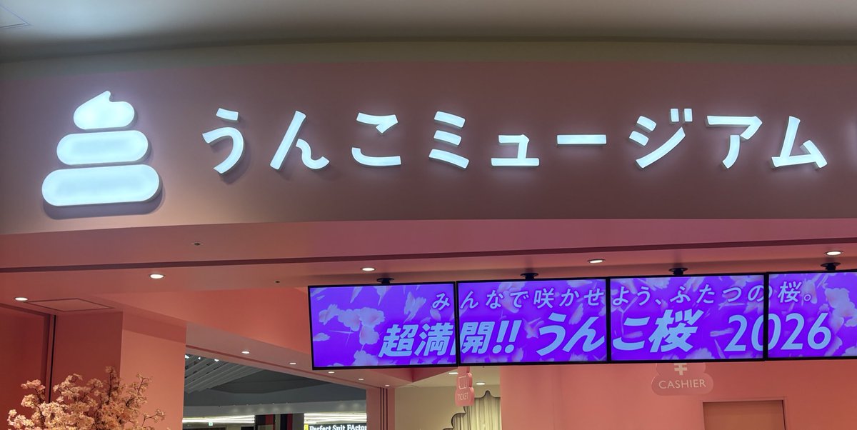 TOX(トックス) tweet media