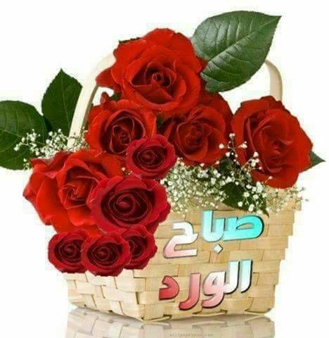 خالد الشريف ابو بودى tweet media