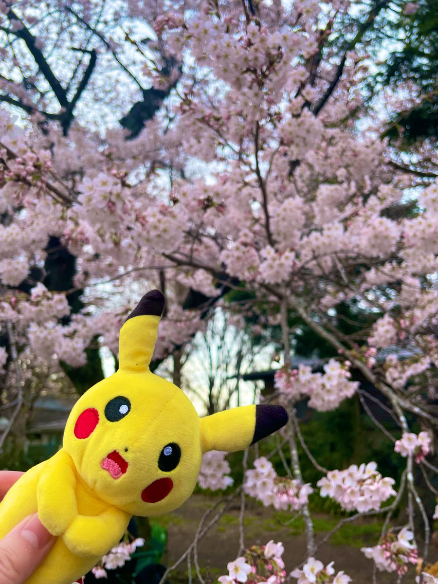 たぐち tweet media