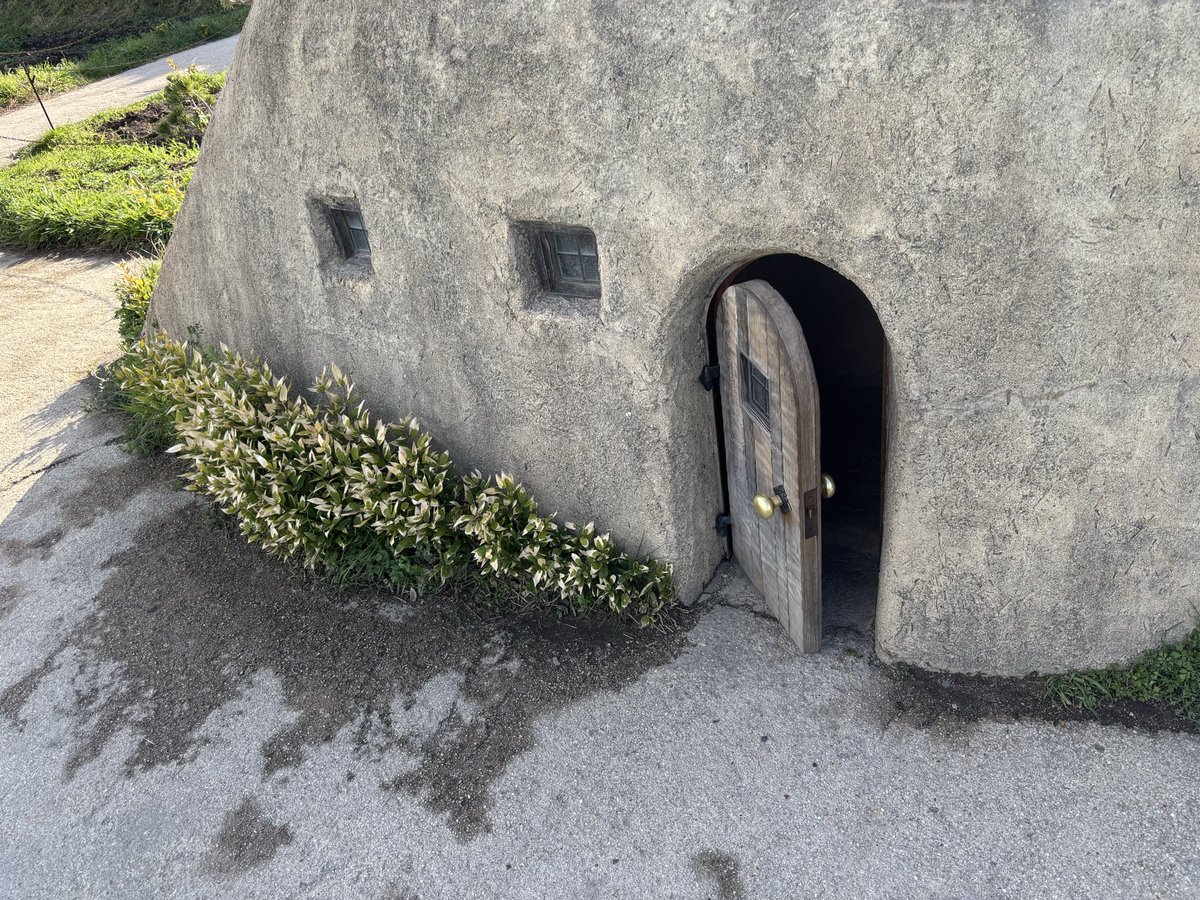 中須ぞかすみ tweet media