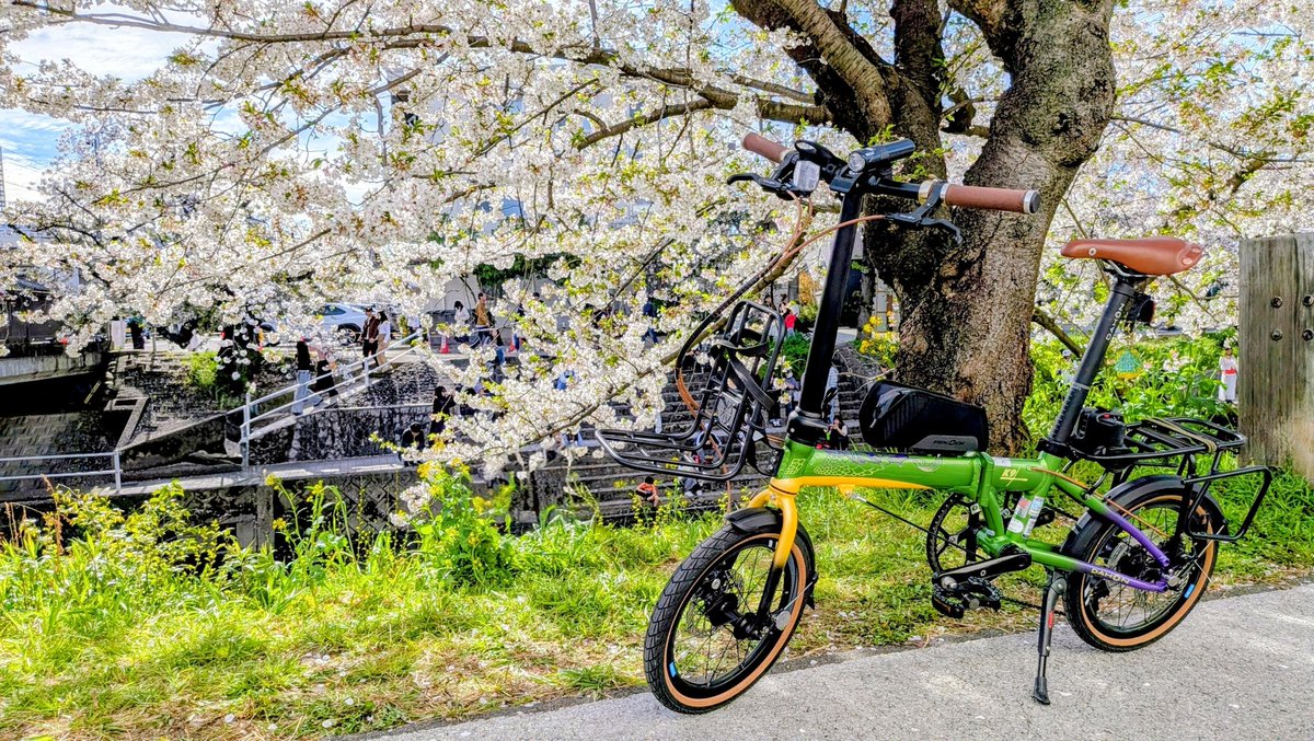 SystemTypeOZ's tweet photo. K9X フル装備で花見🌸
フェンダーや各キャリアも揃うと壮観

苦労してMulti Rear Rackも取り付けたかいがあった

散り始めだったけど、川で流れる桜の花びらも風流
(自転車と一緒の画角は断念)
#DAHON #K9X #ミニベロ #おりたたぶ https://t.co/JQmelpjpkP