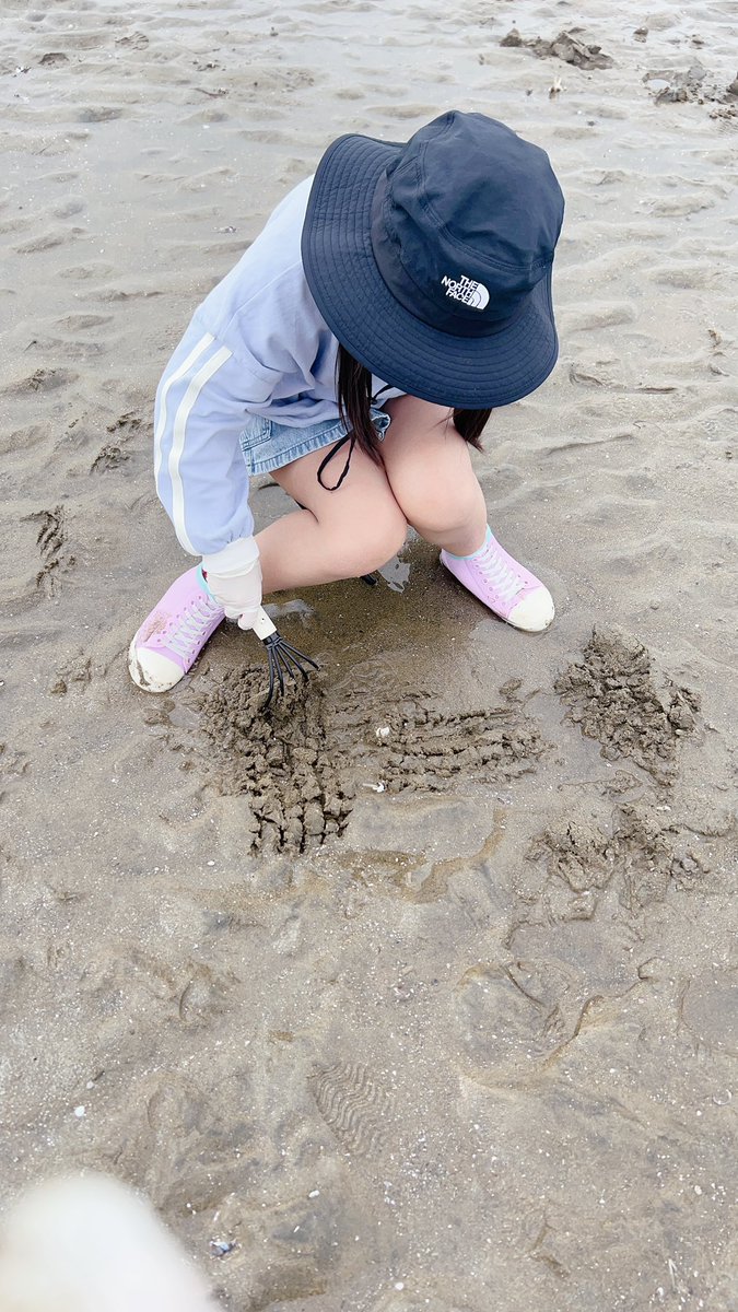 谷 心晴（たに こはる） tweet media