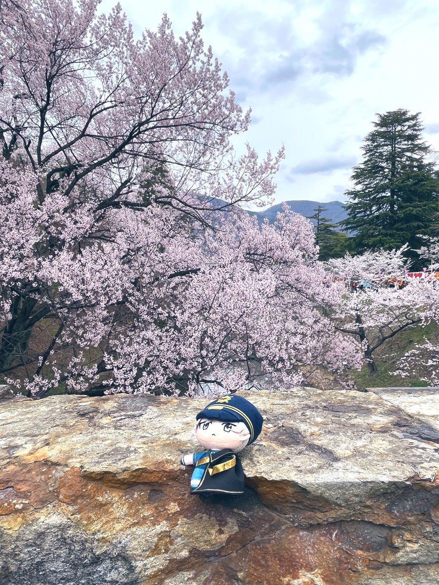 エスぬい tweet media