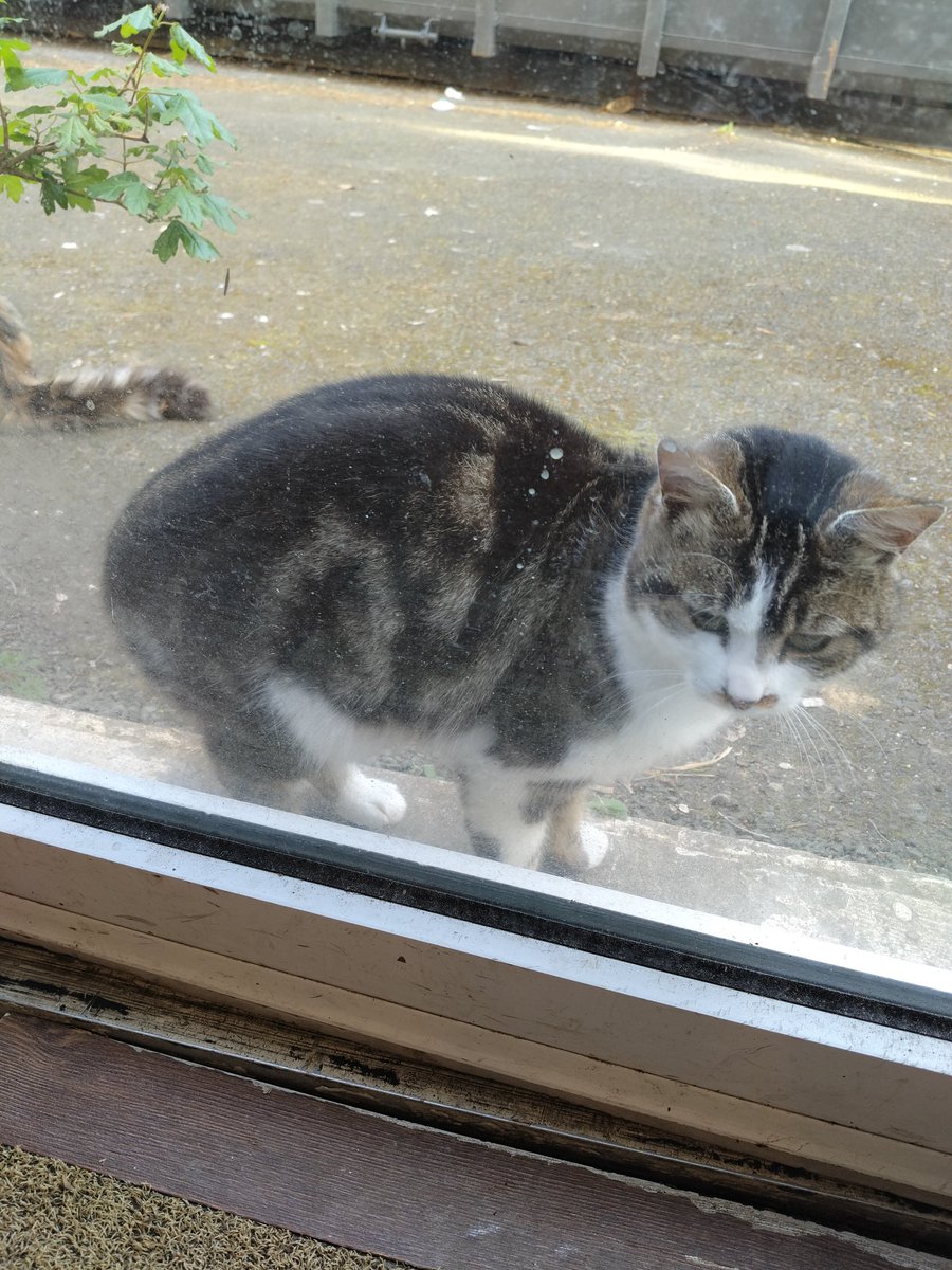 Mamy Qoqo 🤍 tweet media