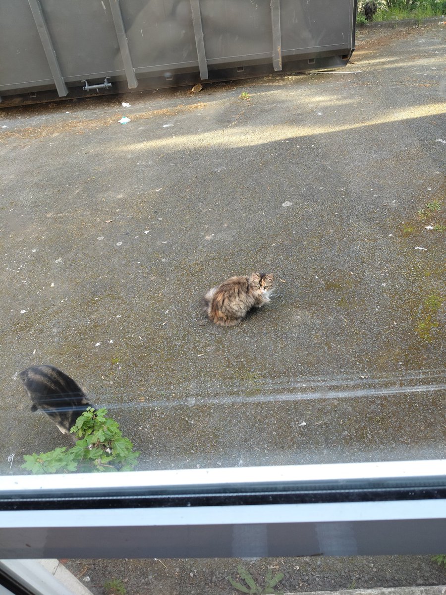 Mamy Qoqo 🤍 tweet media