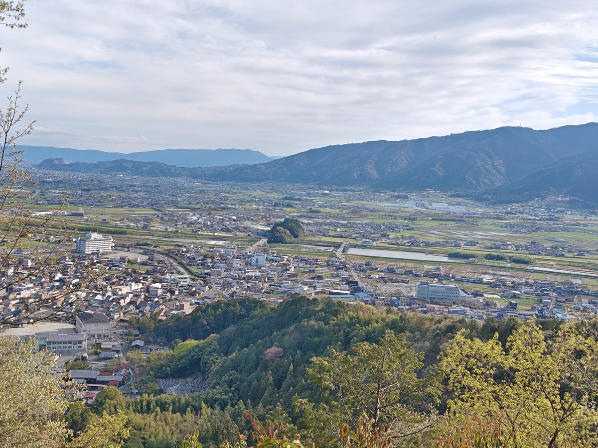 るり＠真田兵 tweet media