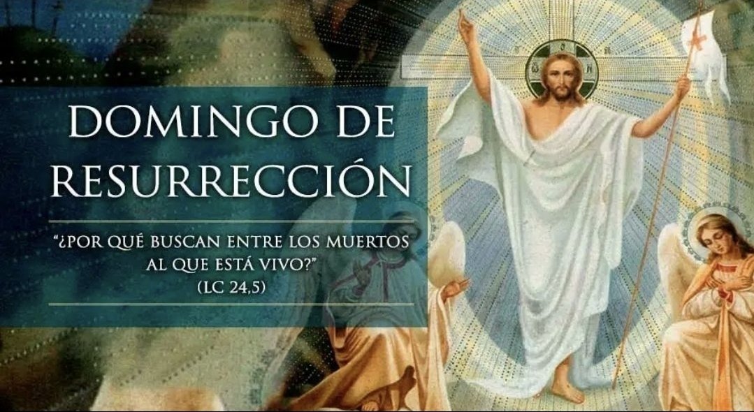 Rafa 🇪🇸 ✝️ tweet media