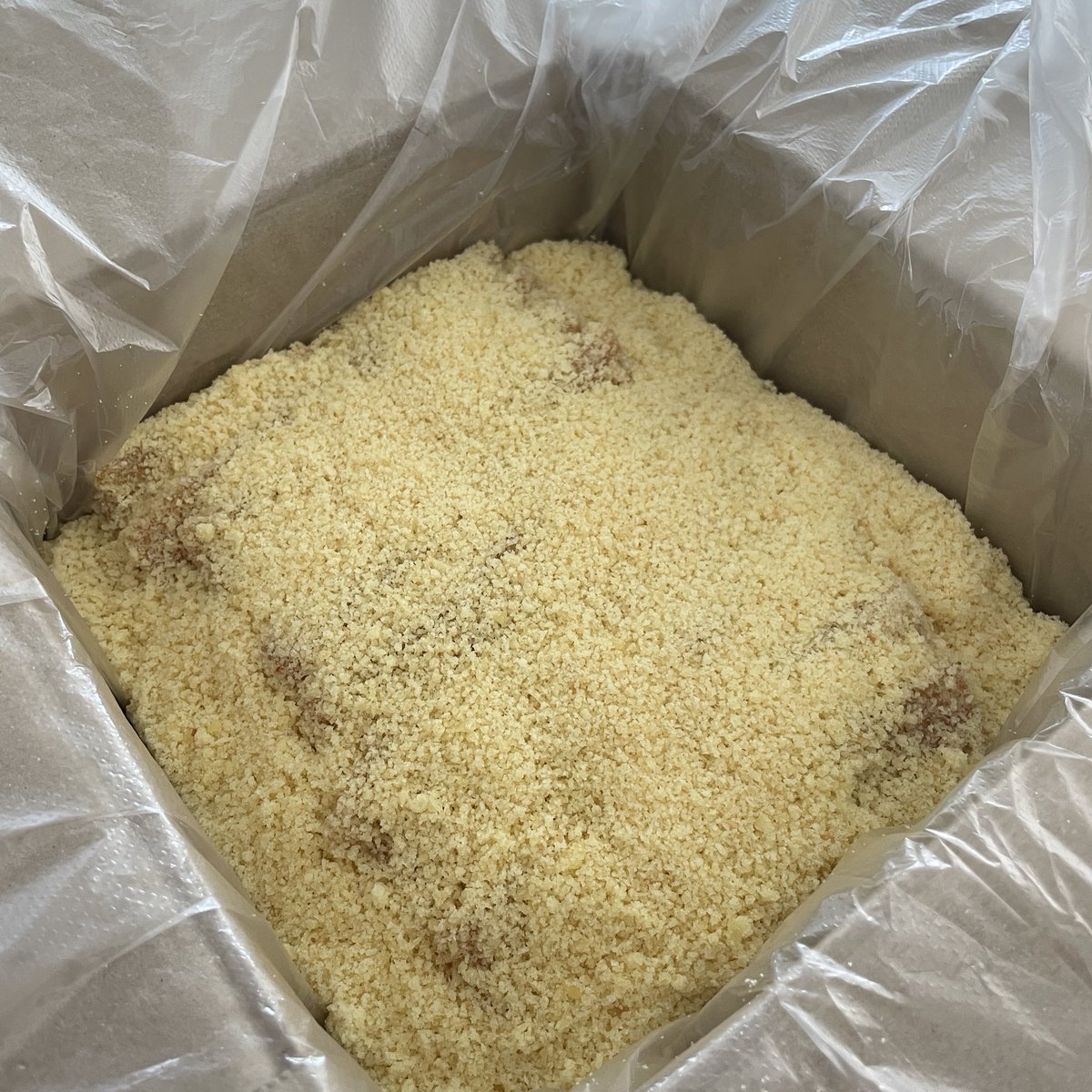 동글이 tweet media