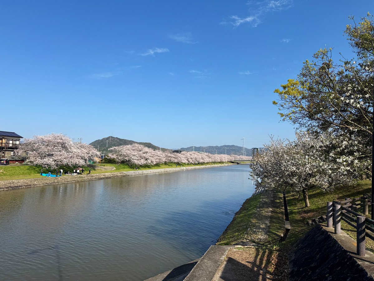 まーぶる tweet media