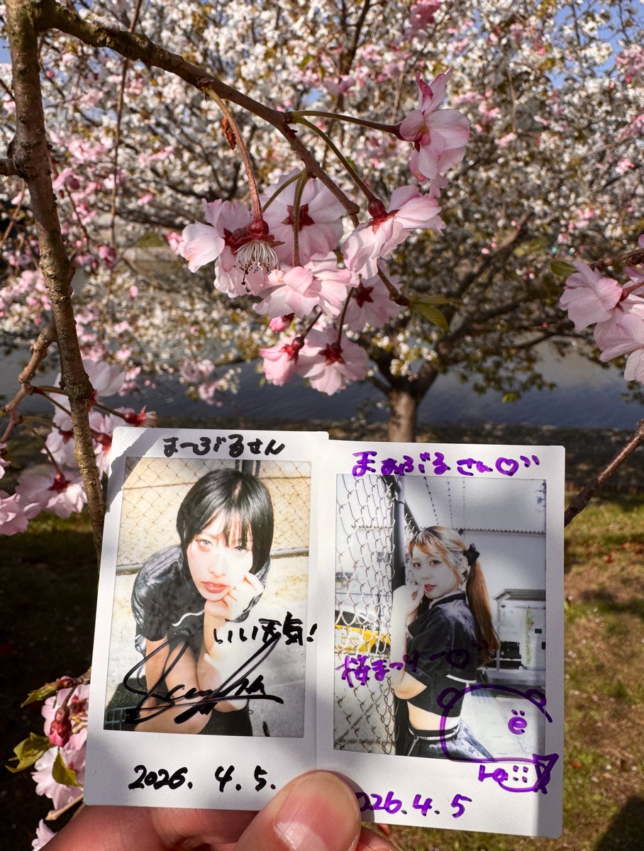 まーぶる tweet media