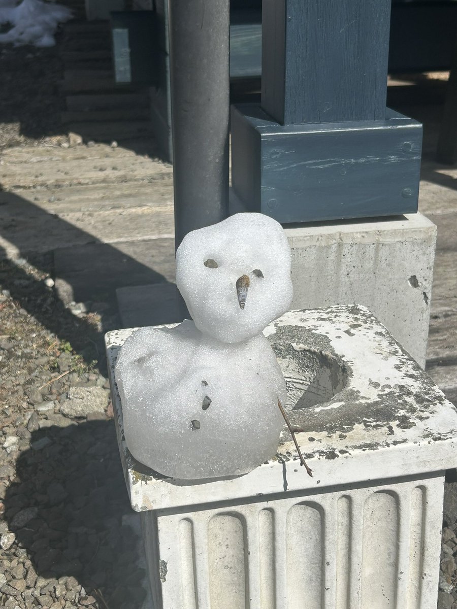 Vatelier.(ヴァトリエ) tweet media