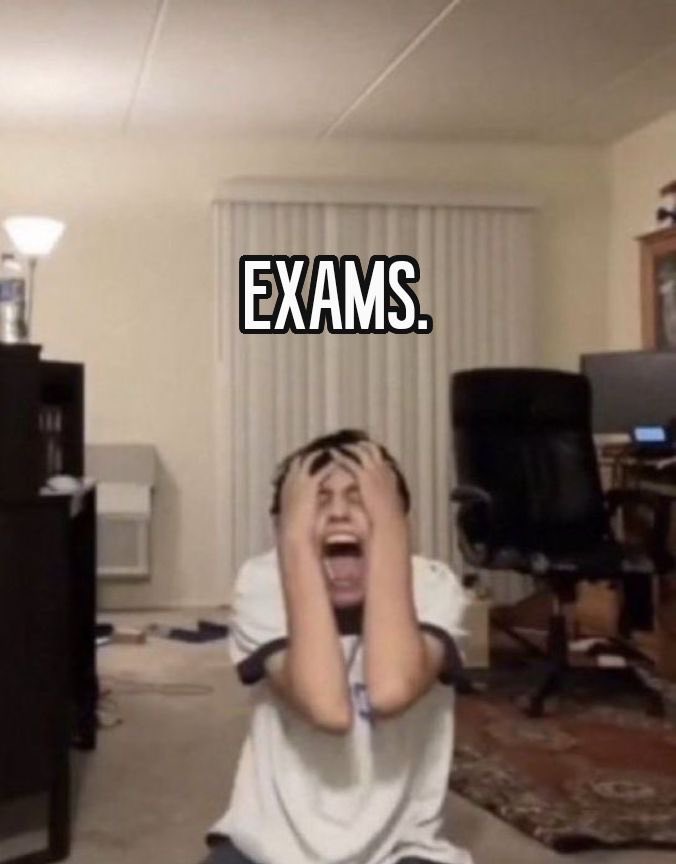 elcaa ⋆౨ৎ˚ tweet media