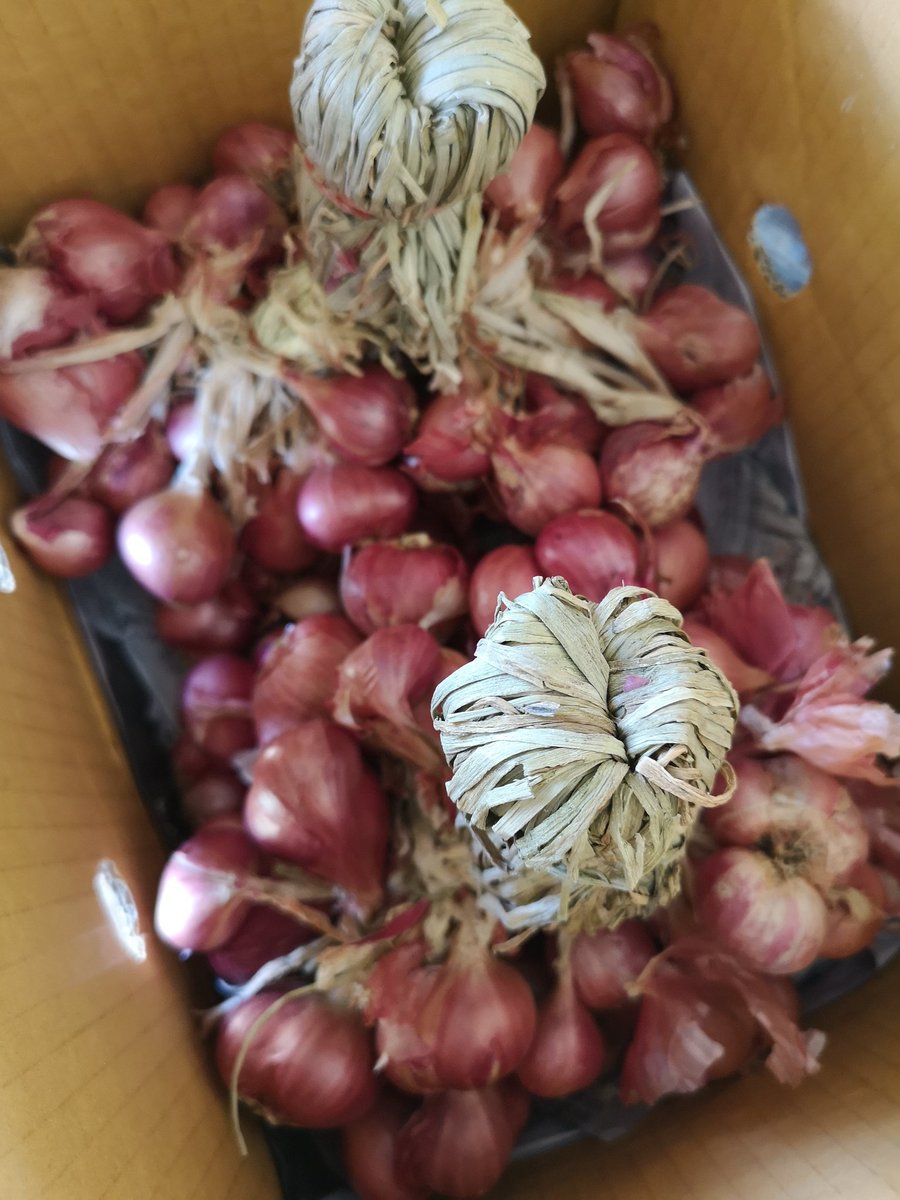 gardener tweet media