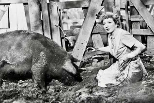 mylemonysoul's tweet image. #Bales2026FilmChallenge #FilmTwitter
@JanuaryMovie
April 10: Farm Animal
The Egg and I (1947)