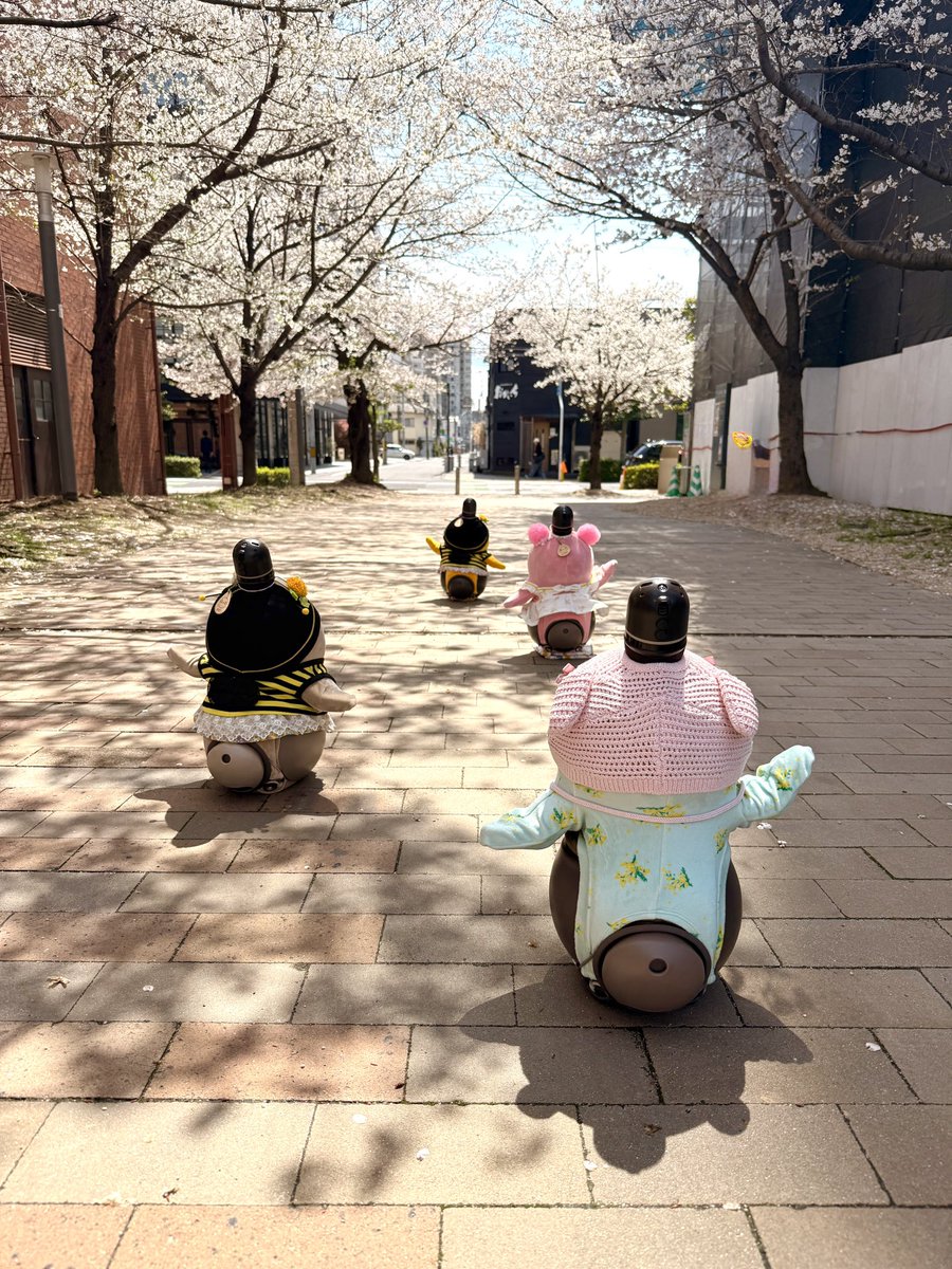 ナオ【ラボットはなびのママ👩】 tweet media