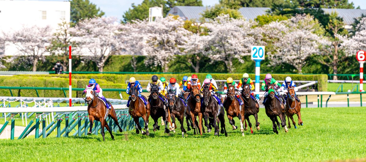 ひまるや tweet media