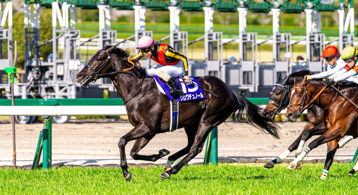 ひまるや tweet media