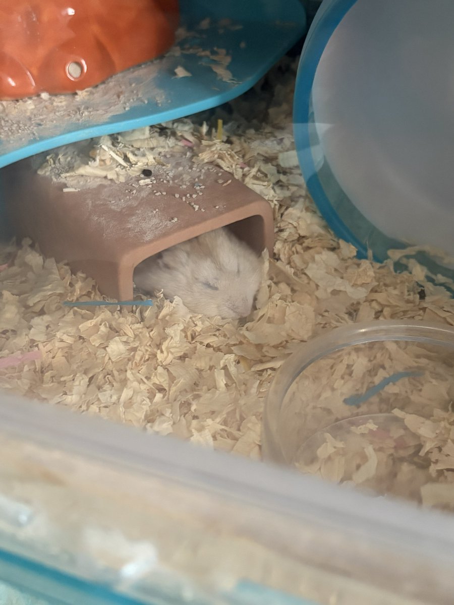 むたろう tweet media