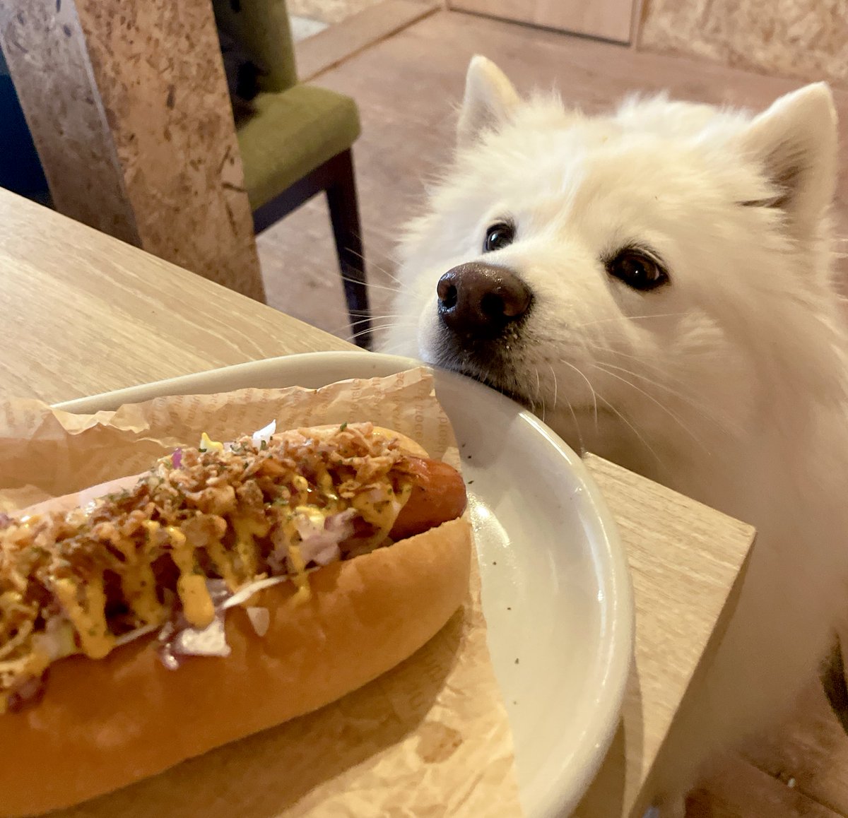 ぬぴ丸大先生 tweet media