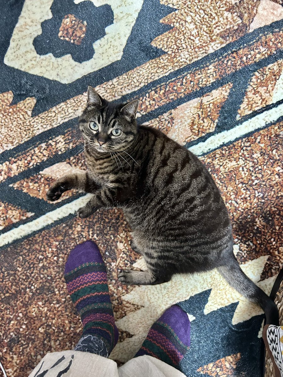 ジャッキー tweet media