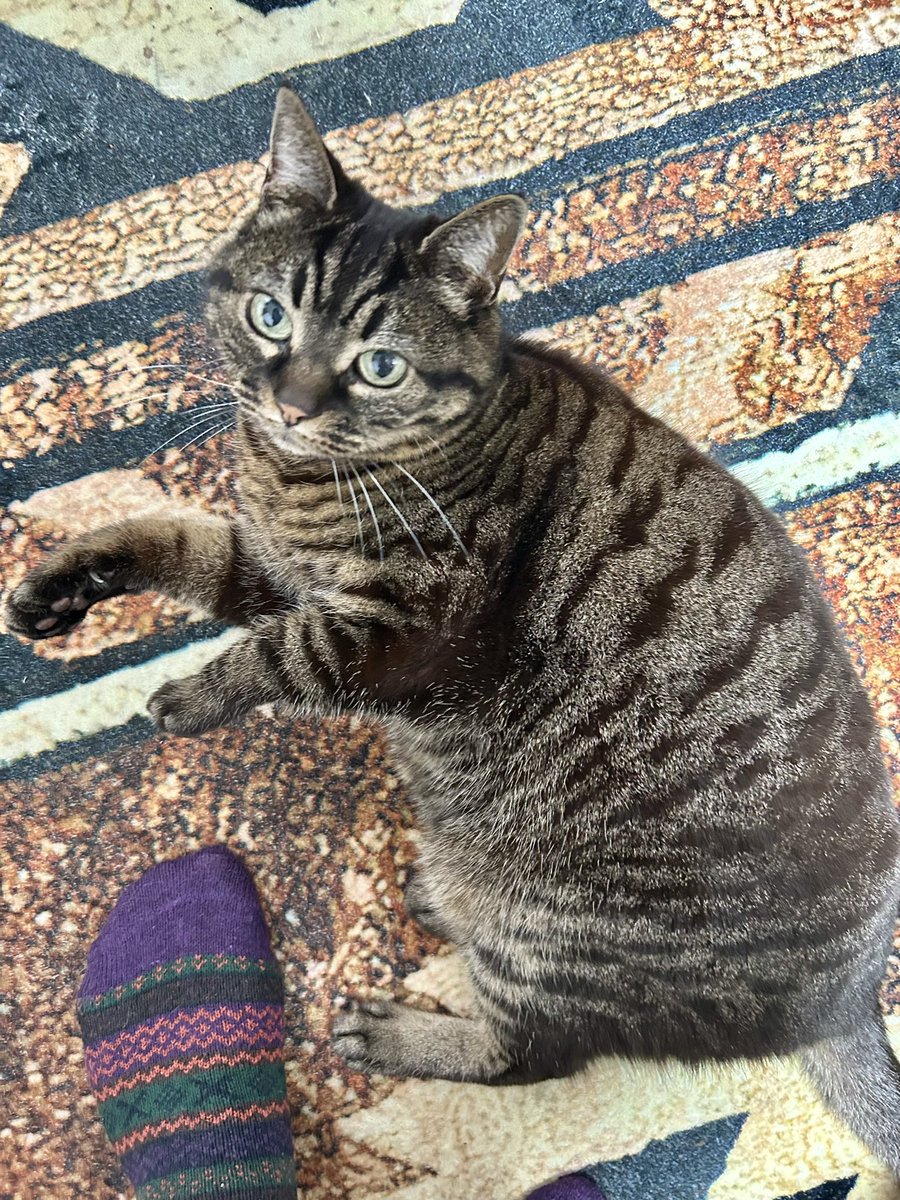 ジャッキー tweet media