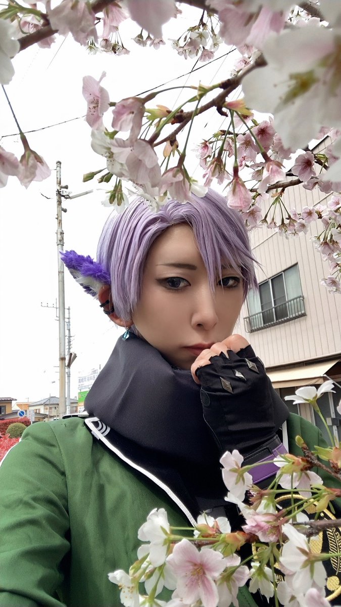 櫻井澪✦.*5仮染街🐾→25浅草🌖 tweet media