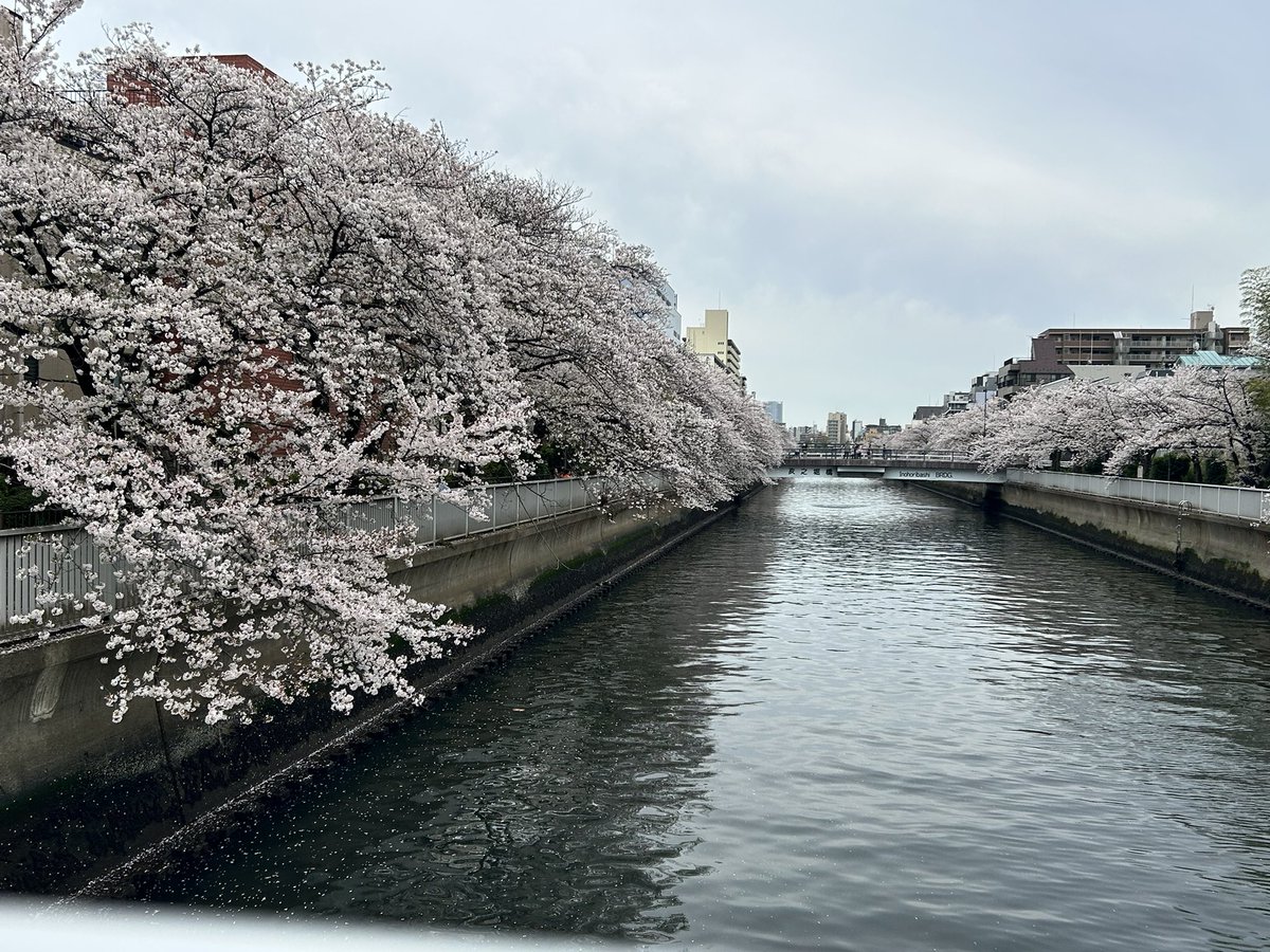 木場ぴくひこ tweet media